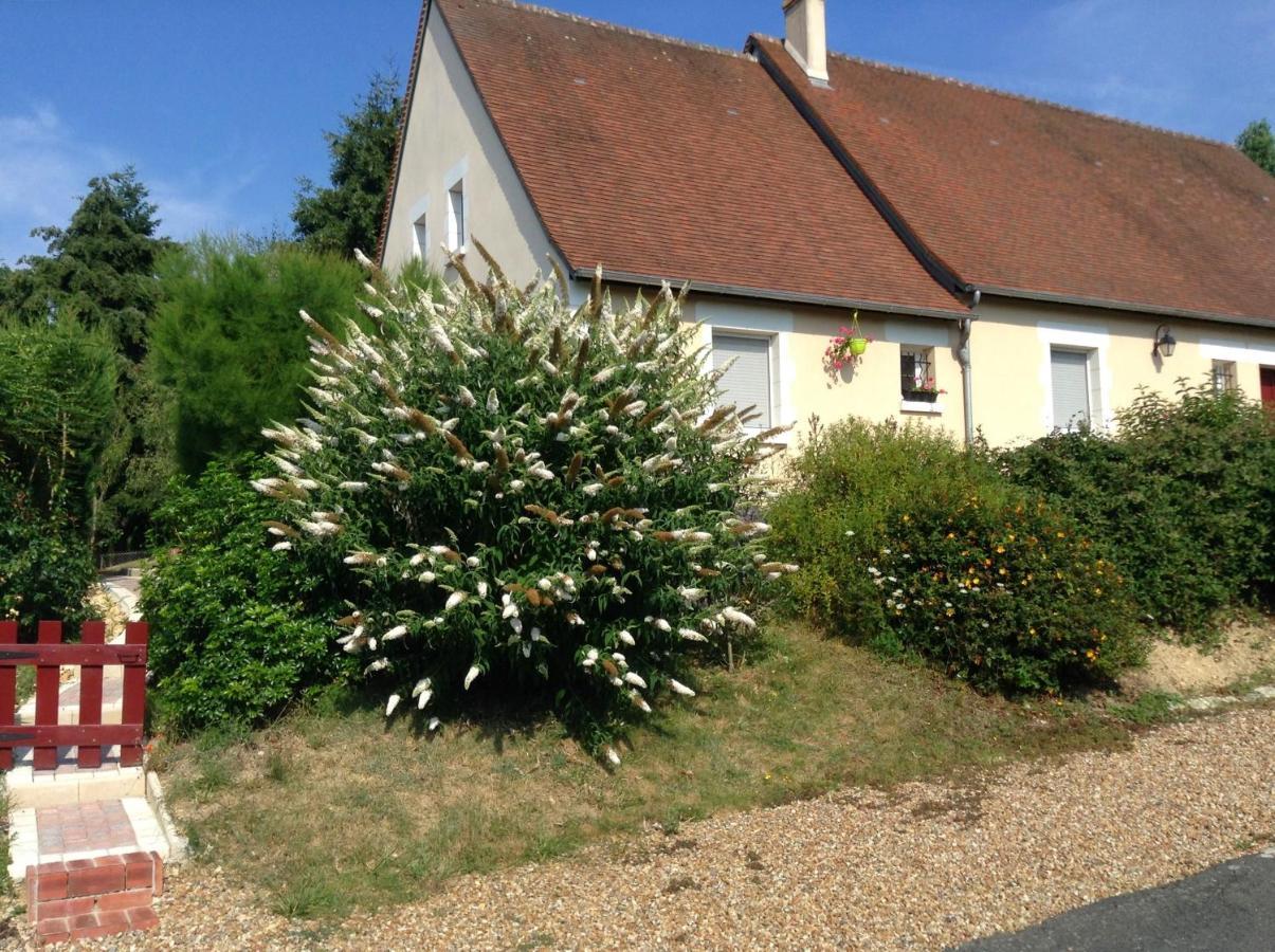 Le Roi Coq Bed & Breakfast Chenonceaux Bagian luar foto